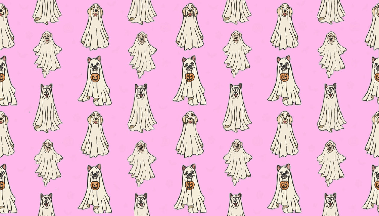 Light Pink Ghost Dogs Halloween SwagBand