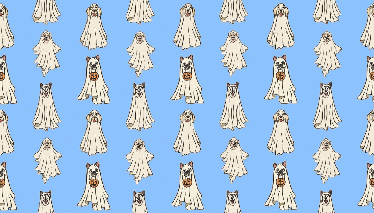 Blue Ghost Dogs Halloween SwagBand