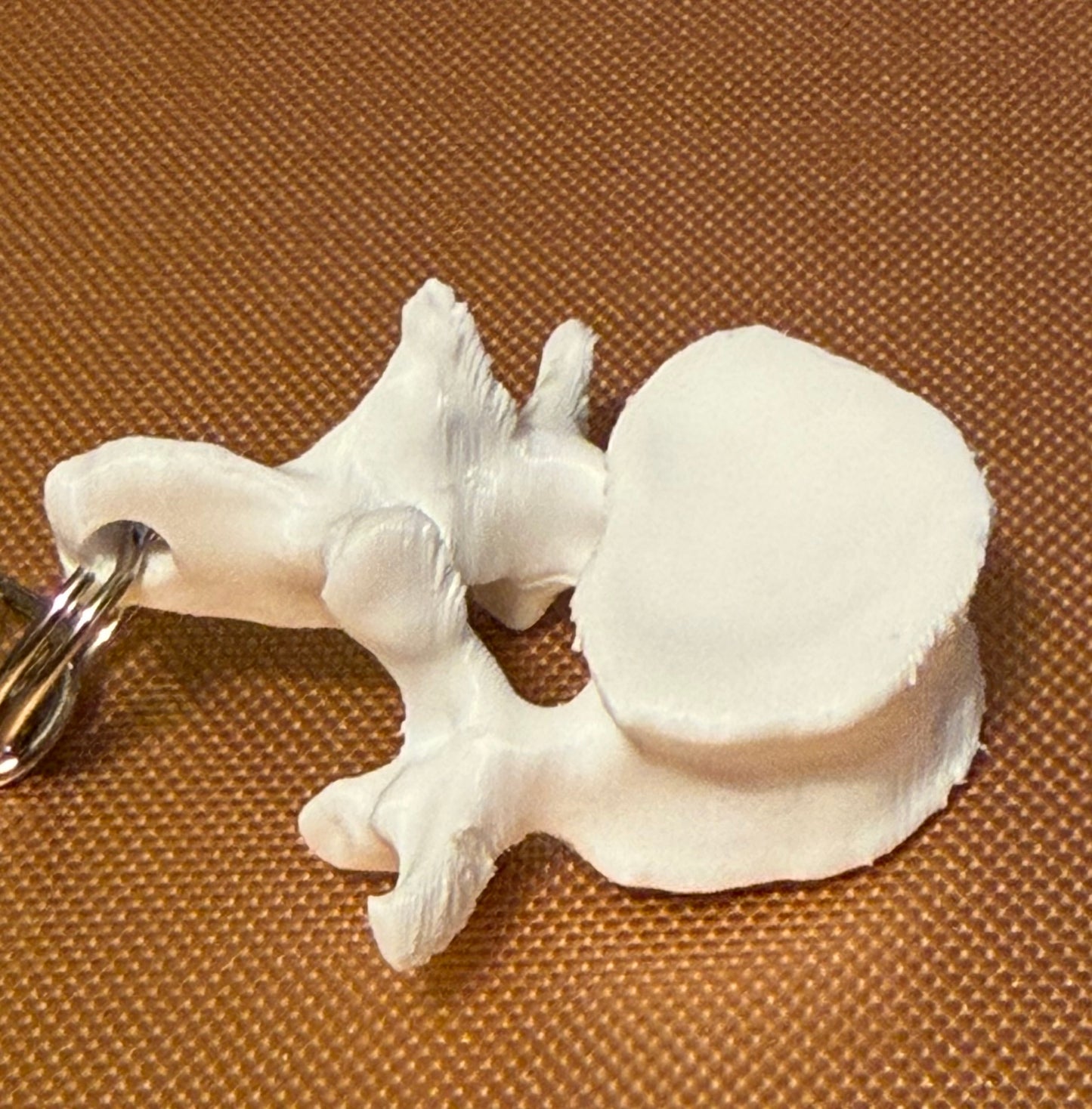 Spine/Spinal Vertebra Badge Reel Charm Key Chain