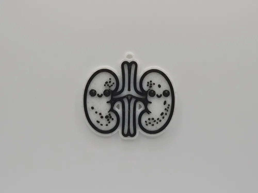 Anatomical Kidneys Renal System Badge Reel Charm Key Chain