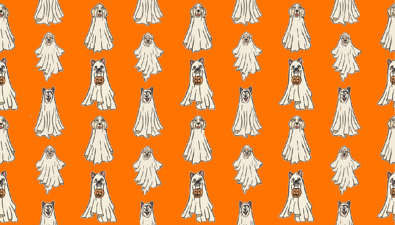 Orange Ghost Dogs Halloween SwagBand