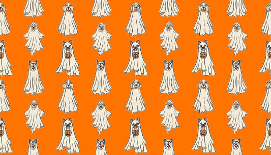 Orange Ghost Dogs Halloween SwagBand