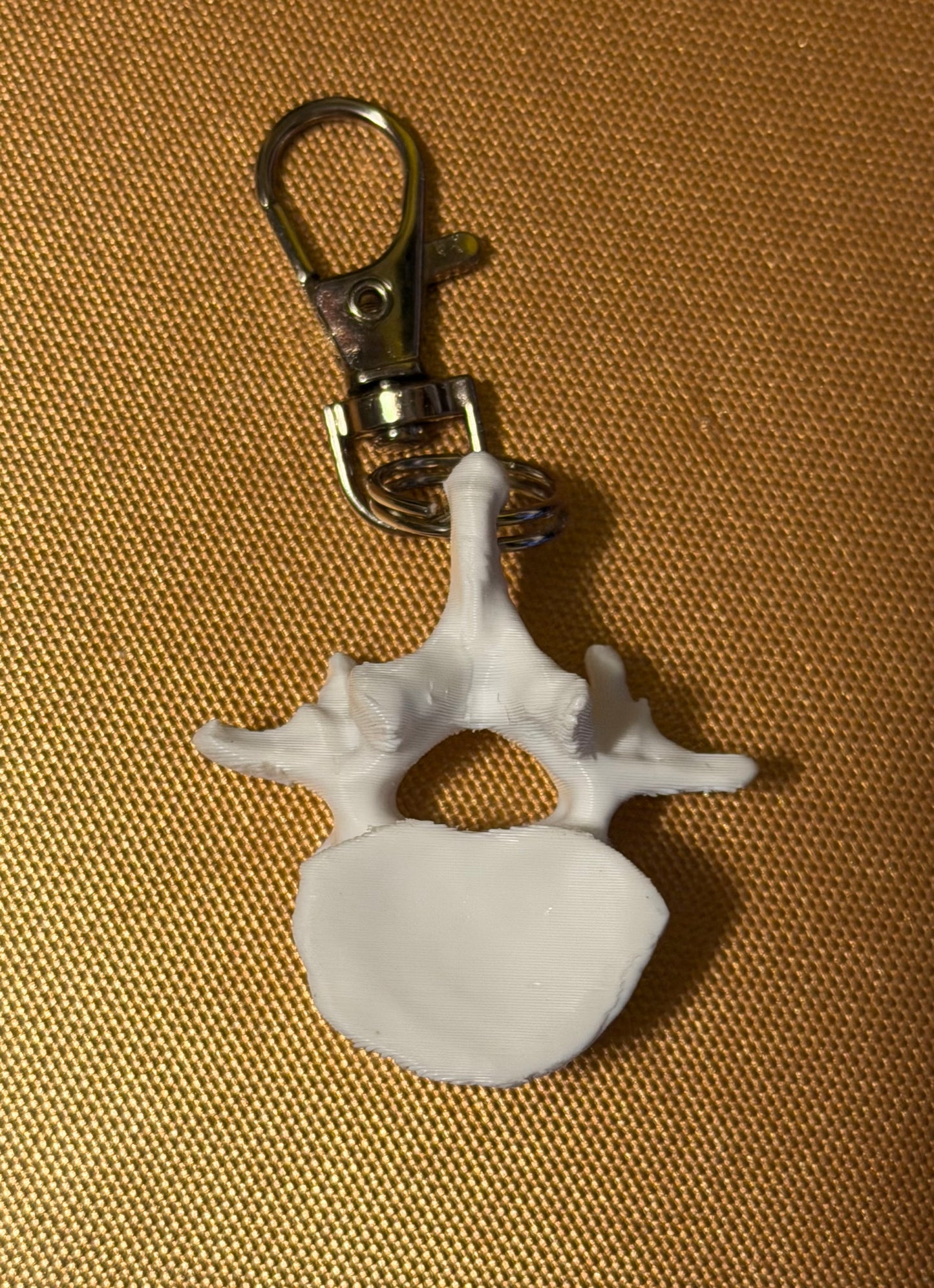 Spine/Spinal Vertebra Badge Reel Charm Key Chain