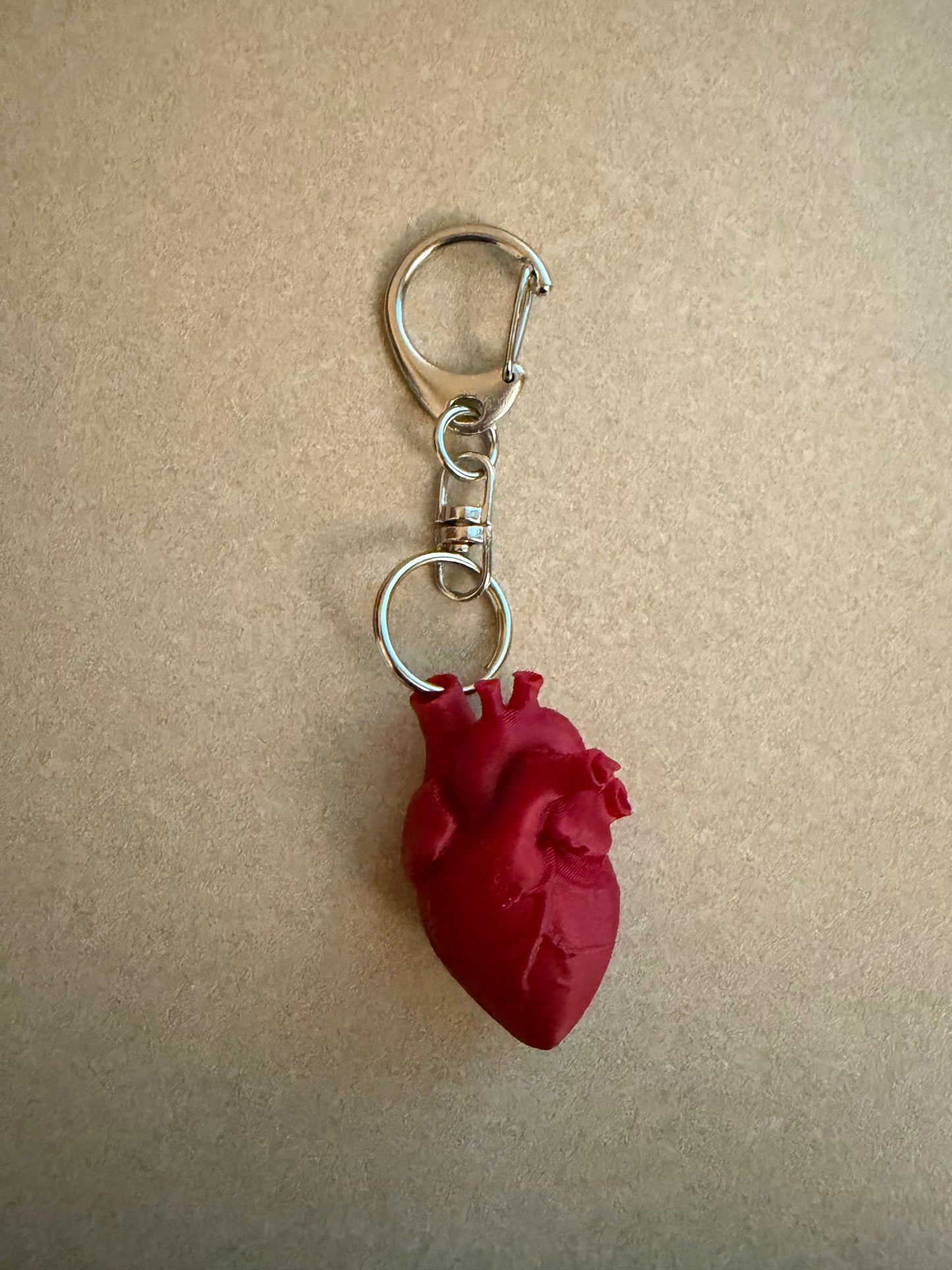 Anatomical Heart CVICU Telemetry Cardiac Badge Reel Charm Key Chain