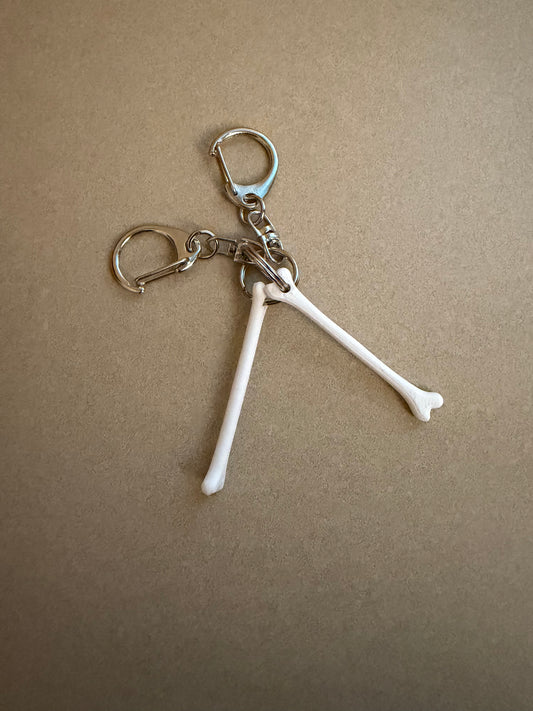 Anatomical Bone For Ortho Nurses, Radiology Techs Badge Reel Charm Key Chain