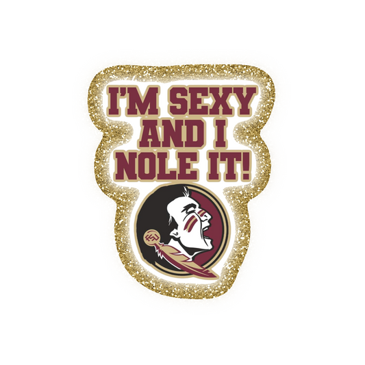 FSU Football Iron On Glitter Sports Patch