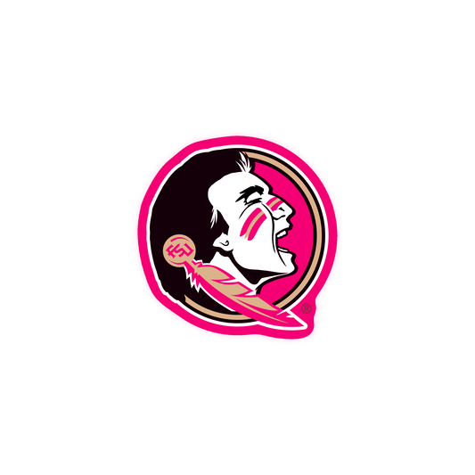 FSU Football Iron On Glitter Sports Patch