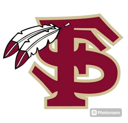 FSU Football Iron On Glitter Sports Patch