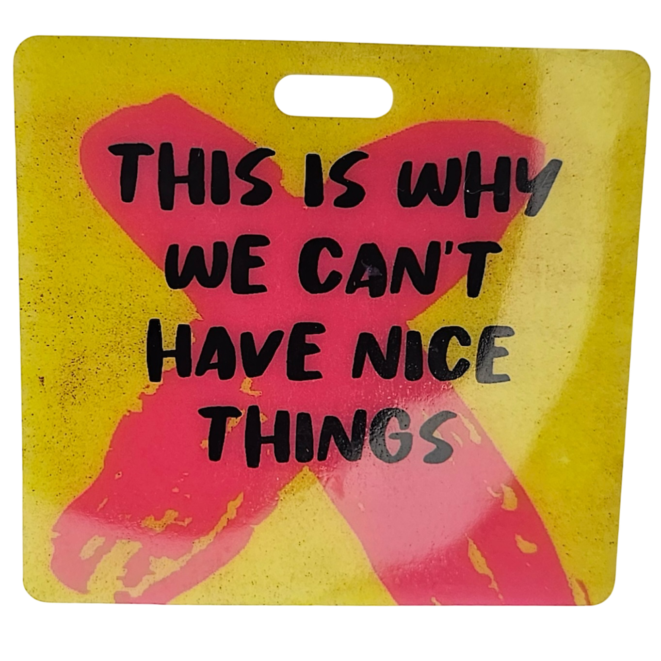 BehindTheBadge™ Why We Can’t Have Nice Things